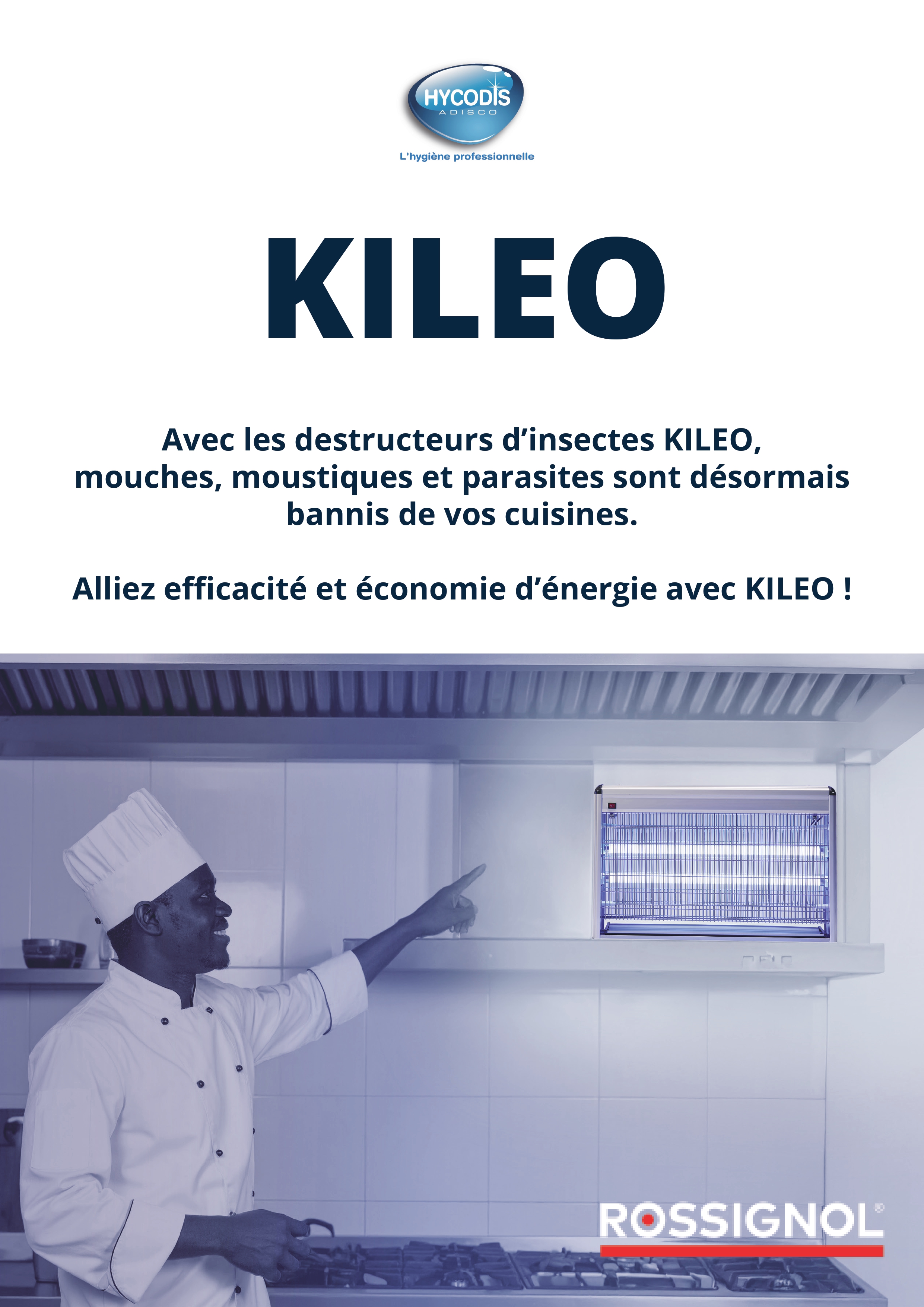 Nos solutions conttre les insectes volants